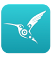 BirdBrain