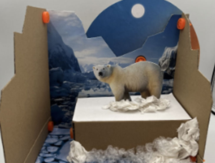 Habitat Diorama project map